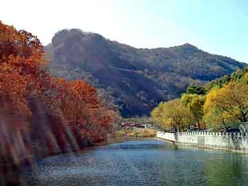 澳门天天开奖免费资料，快餐桌图片